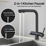 Black kitchen faucet with dual outlets labeled for filtered RO water and hot & cold water, with 2 in 1 kitchen faucet tag on the top on a gray background.