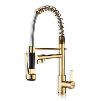 Gold double pull-out kitchen faucet on a white background
