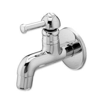 Stellar Bib Tap with Wall Flange