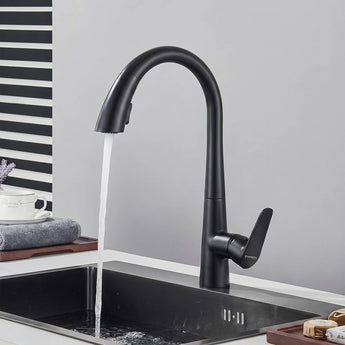 Hydros Black Pull-out Kitchen Sink Mixer Tap with Dual Flow