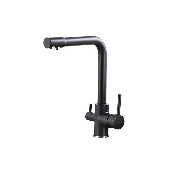 Aquify Black 2-in-1 Kitchen Sink Mixer Faucet with RO Tap