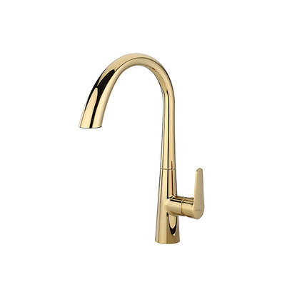 Hydros Gold Pull-out Kitchen Sink Mixer Tap with Dual Flow